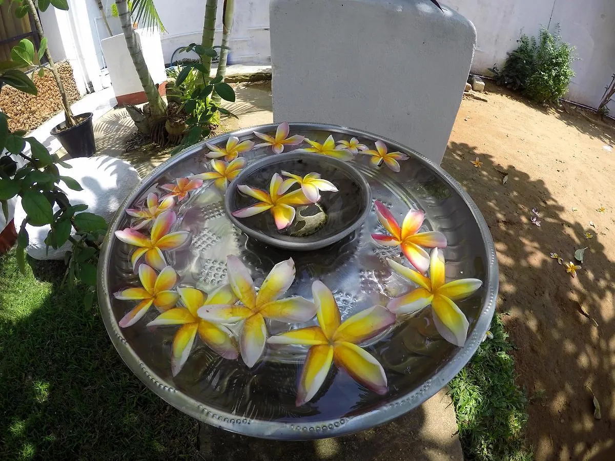 Colombo Residency Hotel 3*,